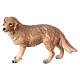 Cão pastor presépio de madeira pintada do Val Gardena Heimatland 9,5 cm s1
