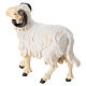 Ram figurine with head to the left for 9.5 cm Heimatland Nativity Scene, Val Gardena, painted wood s3