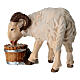 White ram with bucket Heimatland nativity scene 12 cm painted wood Val Gardena s4