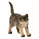 Gatto in piedi presepe Heimatland 12 cm legno dipinto Val Gardena  s2
