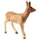 Capriolo femmina presepe 9,5 cm Heimatland legno dipinto Val Gardena s3