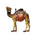 Camel for 9.5 cm painted wood Heimatland Nativity Scene of Val Gardena s1