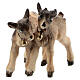Set of kid goats of painted wood for 9.5 cm Heimatland Nativity Scene of Val Gardena s2