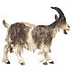 Chèvre tête haute 9,5 cm figurine bois peint crèche Heimatland Val Gardena s1