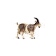 Goat with heat held high for Val Gardena Heimatland Nativity Scene with painted wood figurines of 12 cm s1
