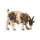 Goat eating to the right painted wood 12 cm Heimatland Val Gardena s1