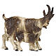 Capra con capretta 12 cm Heimatland legno dipinto Val Gardena  s1