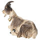 Lying goat statue 12 cm painted wood Heimatland Val Gardena nativity scene s3