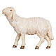 Sheep eating with head held high, Val Gardena painted wood, 12 cm Heimatland Nativity Scene s1