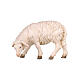 Mouton qui mange tête vers gauche 9,5 cm figurine bois peint crèche Heimatland Val Gardena s2