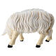 Oveja comiendo cabeza hacia la derecha 12 cm madera pintada Heimatland  Val Gardena s3