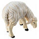 Mouton qui mange tête vers droite statuette crèche 12 cm Heimatland bois peint Val Gardena s4