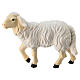 Sheep of painted wood, head held high, for 12 cm Nativity Scene, Heimatland collection, Val Gardena s1