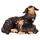 Black sheep with lamb lying down, Val Gardena painted wood, Heimatland Nativity Scene of 12 cm s1