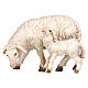 Sheep with lamb, Val Gardena painted wood, Heimatland Nativity Scene of 12 cm s1