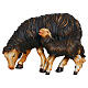 Pecora nera con agnello 9,5 cm presepe Heimatland legno dipinto Val Gardena s1