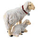 Sheep with lamb lying down and bell, Val Gardena painted wood, Heimatland Nativity Scene of 12 cm s3