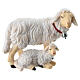 Pair of white sheep 12 cm painted wooden nativity scene Heimatland Val Gardena s1