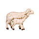 Sheep with lamb standing side by side, Val Gardena painted wood, Heimatland Nativity Scene of 12 cm s1