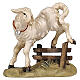 Agnello con siepe 9,5 cm legno dipinto presepe Heimatland Val Gardena  s1