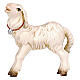 Standing white lamb 12 cm Heimatland Val Gardena nativity scene s1