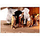 Alpine stable with lights and 17 painted wood characters for 12 cm Heimatland Nativity Scene, Val Gardena s6