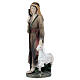 Pastore con agnello e bastone resina colorata presepe h 12 cm s2