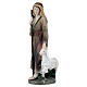 Shepherdress with lamb and staff in colored resin, nativity scene h 12 cm s2