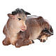 Bue sdraiato 9,5 cm legno dipinto presepe Mahlknecht Val Gardena  s2