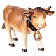 Mucca testa in avanti legno dipinto 12 cm presepe Mahlknecht Val Gardena s2