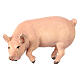 Porco madeira colorida 12 cm presépio Mahlknecht Val Gardena s1