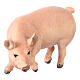 Porco madeira colorida 12 cm presépio Mahlknecht Val Gardena s2