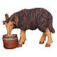 Ariete nera con secchio 12 cm presepe Mahlknecht legno dipinto Val Gardena s1