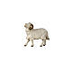 Ram with head turn to the left for 9.5 cm Mahlknecht Nativity Scene, Val Gardena painted wood s1