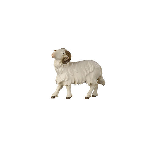 Ariete testa a sinistra 9,5 cm presepe Mahlknecht legno dipinto Val Gardena  1