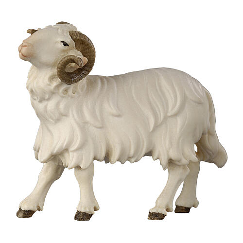 Ariete testa a sinistra 12 cm legno dipinto presepe Mahlknecht Val Gardena  1