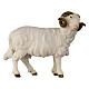 Ram with head to the right for 9.5 cm Mahlknecht Nativity Scene, Val Gardena painted wood s1