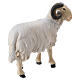Ram with head turning right, Val Gardena painted wood, 12 cm Mahlknecht Nativity Scene s4