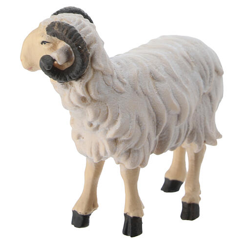 Bélier tête vers droite crèche Mahlknecht bois peint Val Gardena 12 cm 3