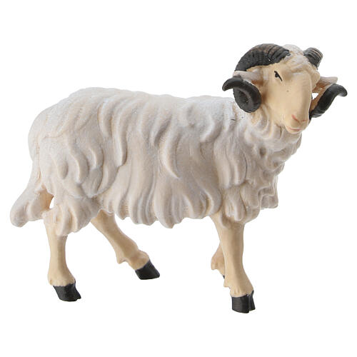 Carneiro cabeça para a direita madeira colorida 12 cm presépio Mahlknecht Val Gardena 1