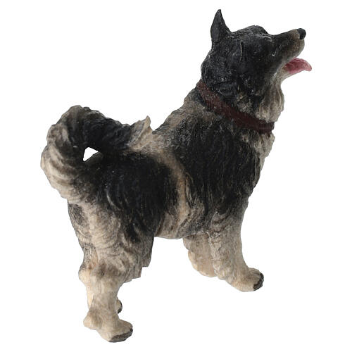 Cane presepe Mahlknecht legno dipinto 12 cm Val Gardena 4