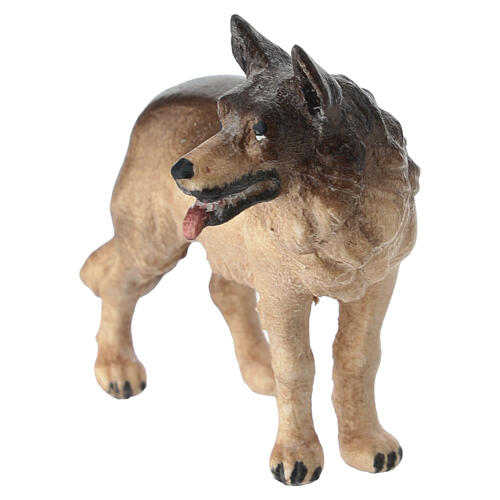 Berger allemand crèche Mahlknecht bois peint 9,5 cm Val Gardena 3