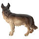 Cane pastore tedesco presepe Mahlknecht legno dipinto 9,5 cm Val Gardena s4