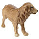 Cane pastore 12 cm legno dipinto presepe Mahlknecht Val Gardena s3