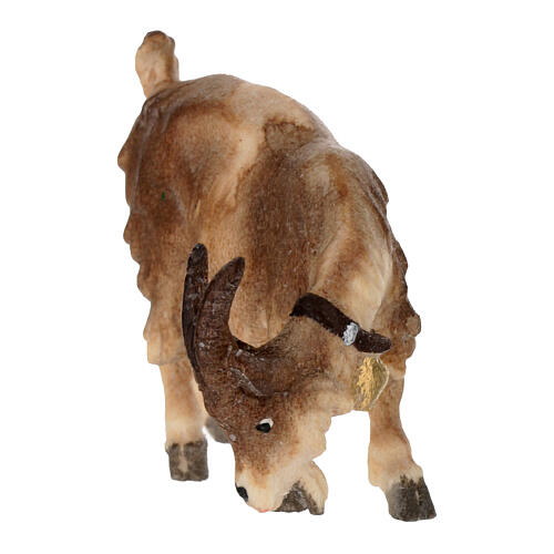 Capra che mangia testa a destra 9,5 cm presepe Mahlknecht legno colorato Val Gardena 2