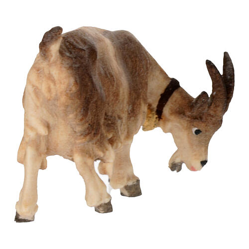 Capra che mangia testa a destra 9,5 cm presepe Mahlknecht legno colorato Val Gardena 4