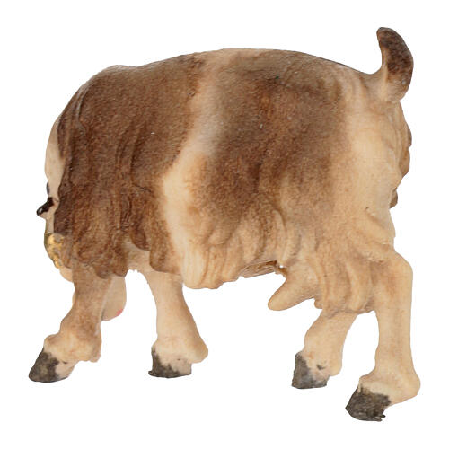 Goat eating head to the right 9.5 cm Mahlknecht nativity colored Val Gardena wood 3