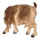 Goat eating head to the right 9.5 cm Mahlknecht nativity colored Val Gardena wood s3