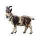 Chèvre avec clochette pour crèche Mahlknecht 12 cm en bois peint Val Gardena s1