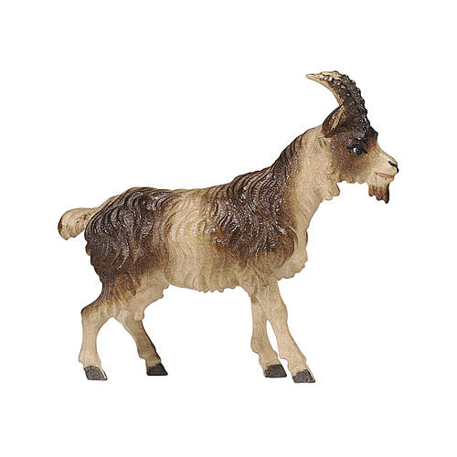 Cabra de pelo curto madeira colorida presépio Mahlknecht 12 cm Val Gardena 1